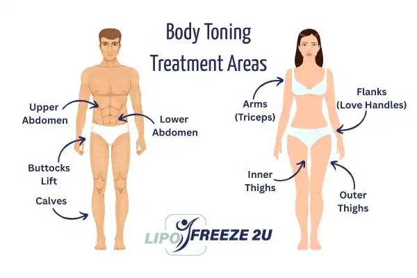 Graphic showing where you can have Body toning Treatment Cheshunt on your body